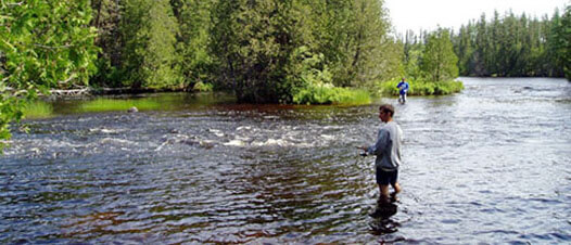 Canada Brook Trout Fishing