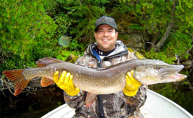 Northern pike fishing in Canada