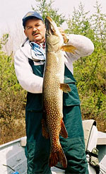 Canada Pike fishing